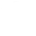 Experienced Instructors