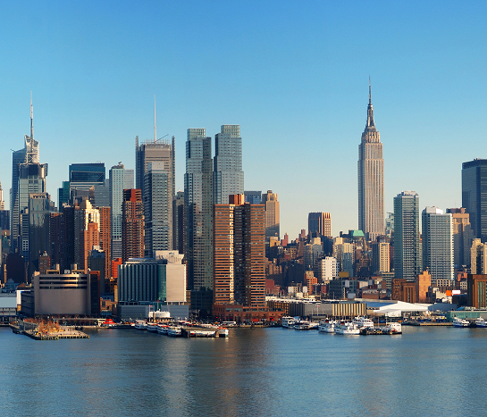 Adults in NYC