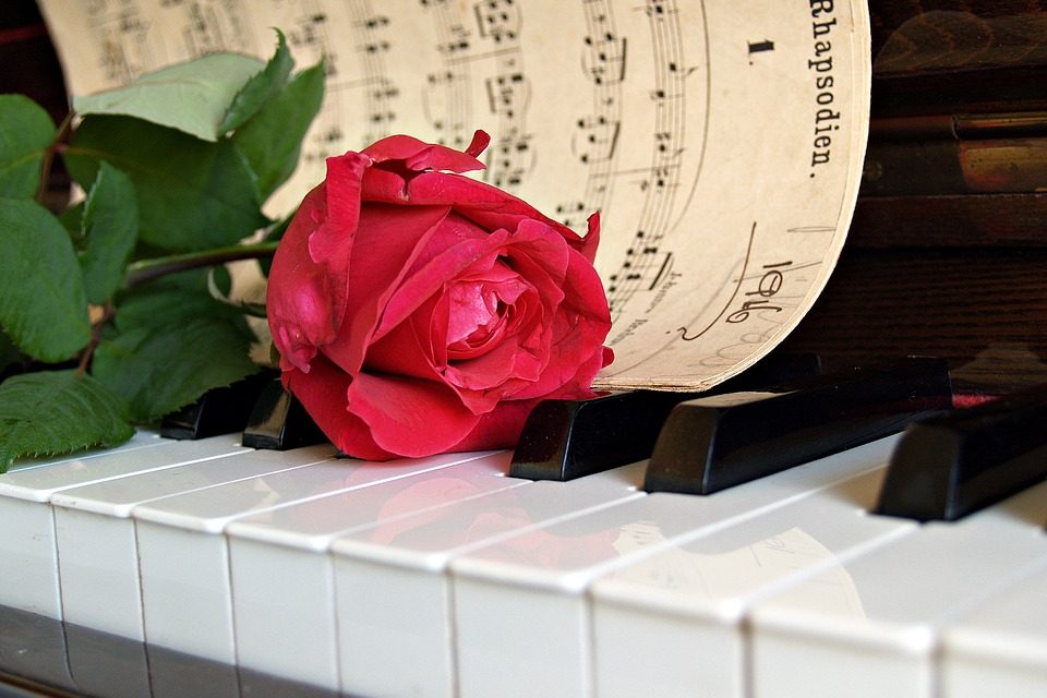 Red rose resting on piano keys with sheet music